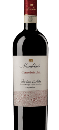 Barbera Alba Superiore Centobricchi