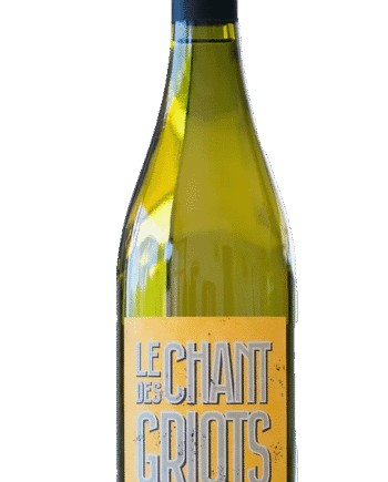 Cambis Chant Des Griots 2023