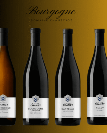 Chanzy Bourgogne Smageboksen