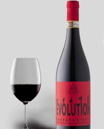 Paulo Berta Evolution Barbera Asti 2018