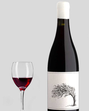 Savage The Girl Next Door Syrah 2024