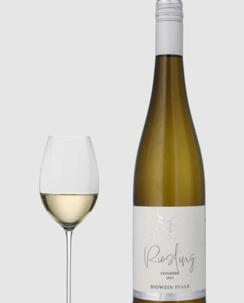 Sternhof Riesling Feinherb øko Pfalz 2023