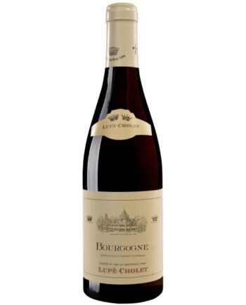 2023 Bourgogne Lup Cholet