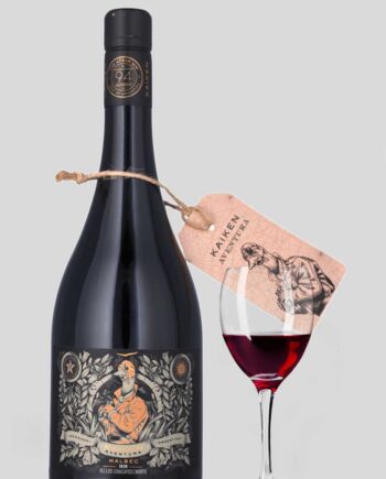 Aventura Malbec Kaiken Los Chacayes Norte 2020