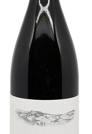 Buisson Bourgogne Rouge 2021