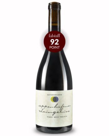 Gut Von Beiden Pinot Noir Appenhofener Steingebiss 2020 økologisk Rødvin Pfalz Tyskland
