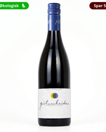 Gut Von Beiden Spatburgunder 2024 økologisk Pinot Noir Pfalz Tyskland