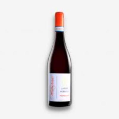 Marchisio Langhe Nebbiolo Mungalat 2023