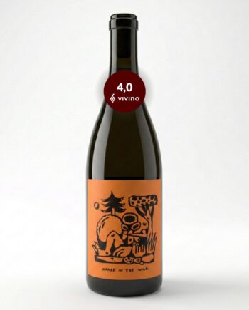 Naked The Wild Gut Von Beiden Hazy Wines økologisk Hvidvin Pfalz Tyskland 2024