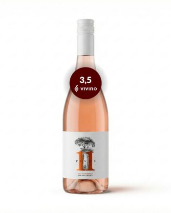 Pinos Macabeo økologisk Vegansk Orangevin 2024 Manchuela Spanien