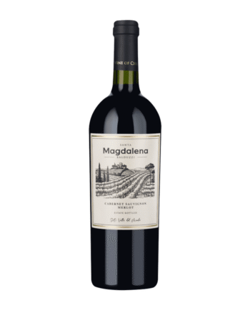Santa Magdalena Balduzzi 2019