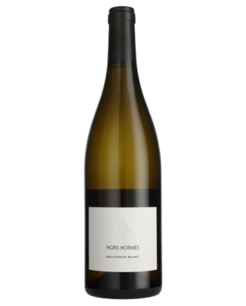 Sauvignon Blanc Hors Norme Loire 2024 Domaine Steve Millet