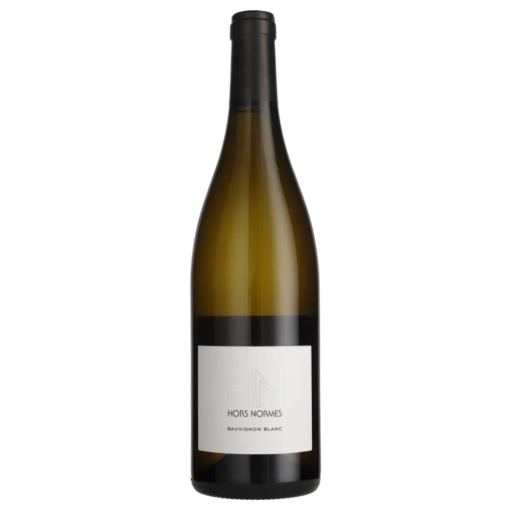 Sauvignon Blanc Hors Norme Loire 2024 Domaine Steve Millet