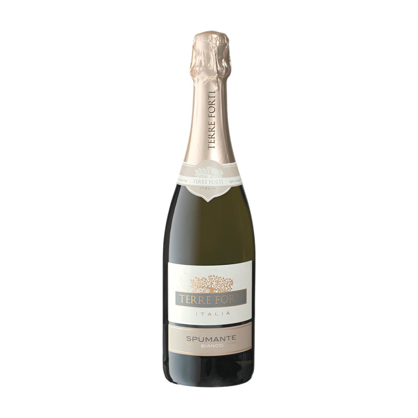Terre Forti Spumante Bianco Secco