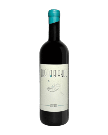 Vermentino 2021 Tasto Bianco Orangevin Stesa