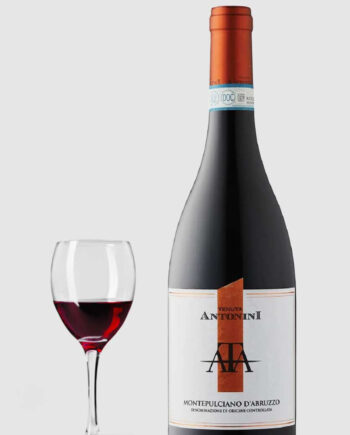 Antonini Montepulciano Abruzzo 2021