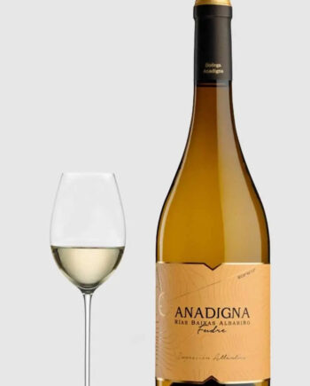 Bodegas Anadigna Fudre Albarino 2023