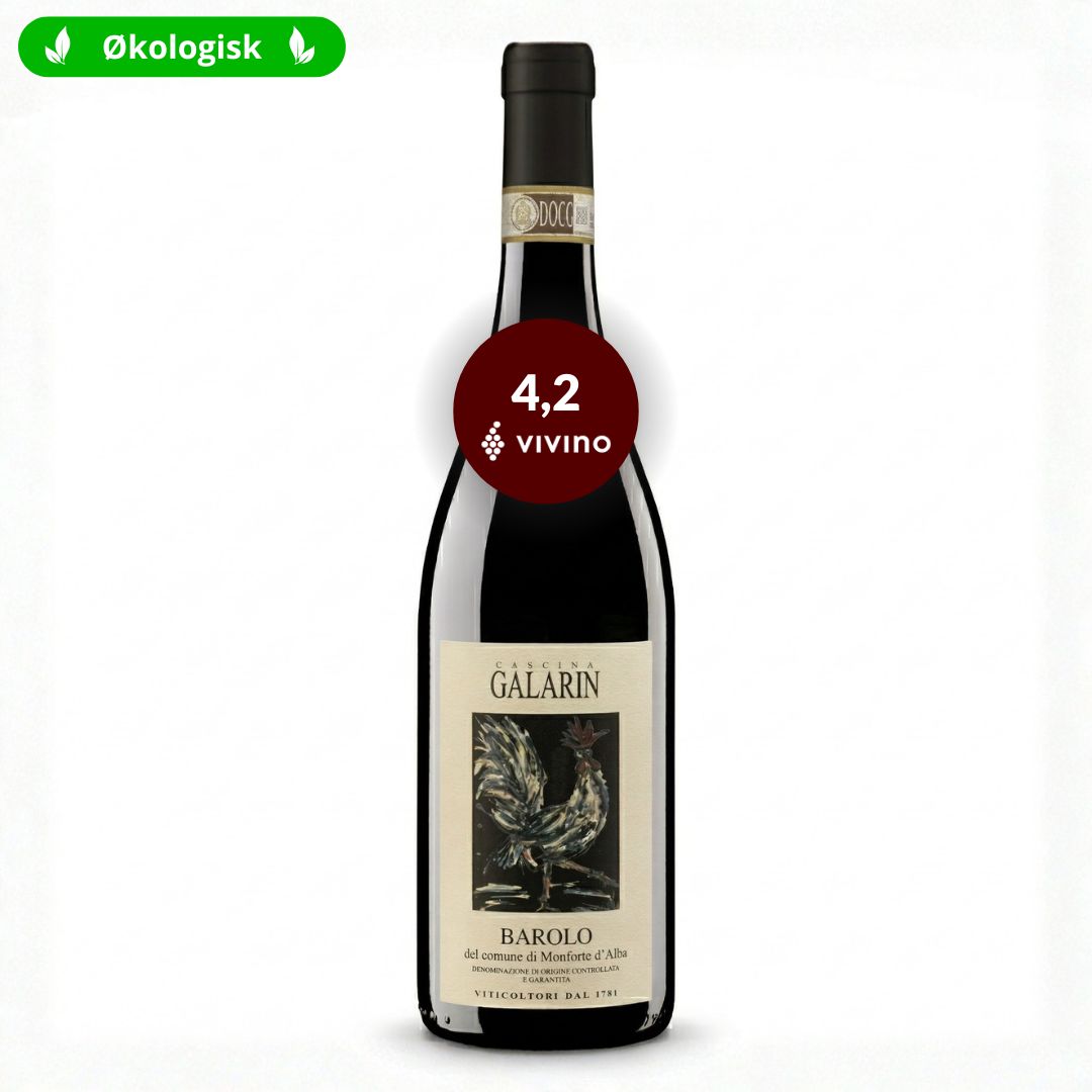 Cascina Galarin Barolo 2022 Piemonte Italien økologisk