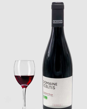 Domaine Des Celtis Syrah Grenache Noir 2022