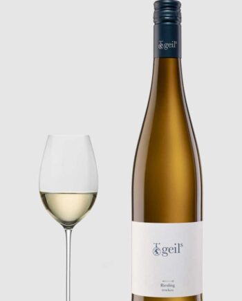 Geils Riesling 2024 Trocken Weingut Geils Rheinhessen