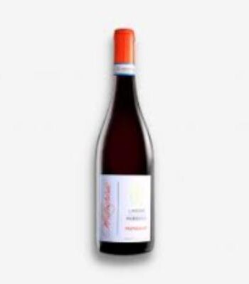 Marchisio Langhe Nebbiolo  Mungalat 2023