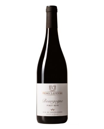 Rødvin  Rmy Lefevre  Bourgogne Pinot Noir Frankrig