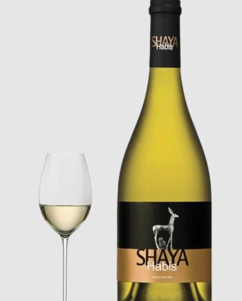 Shaya Habis 2019