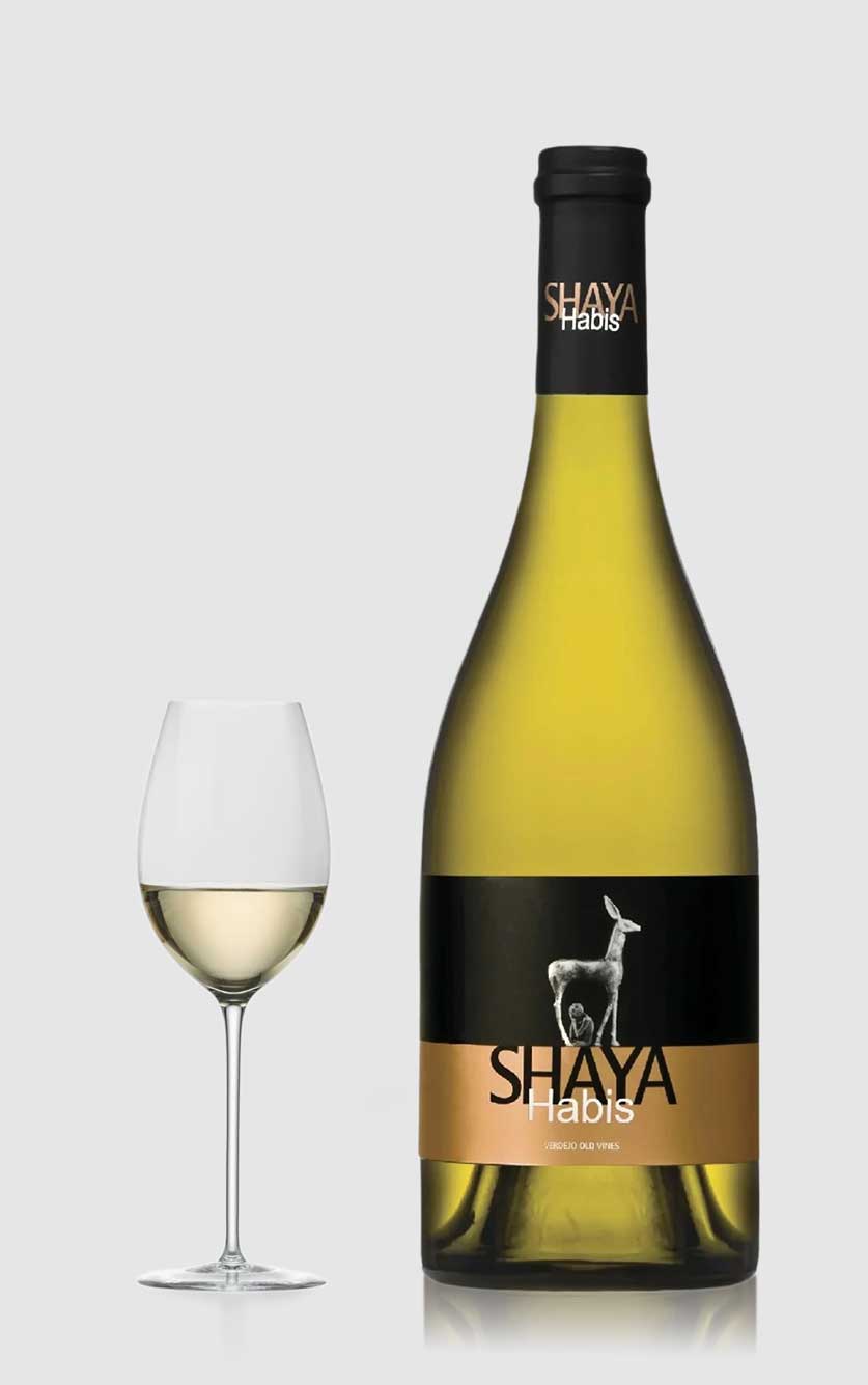 Shaya Habis 2019