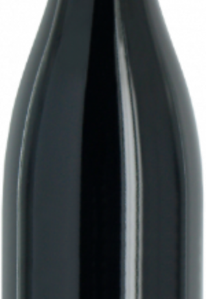 Sornin Beaujolais Village Rouge 2025