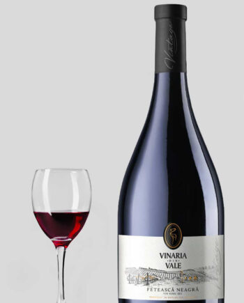 Vinaria Din Vale Feteasc Neagr 2022
