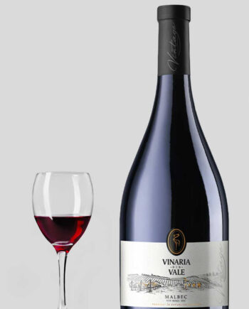 Vinaria Din Vale Malbec 2022