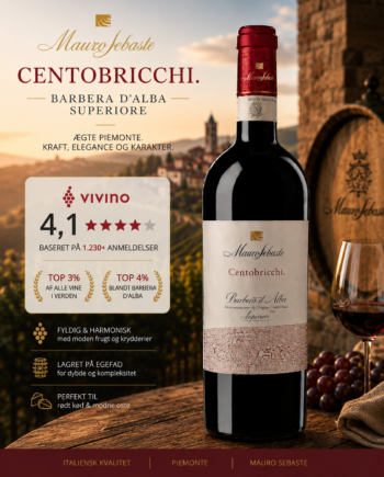 Barbera Alba Superiore Centobricchi2022 Magnum