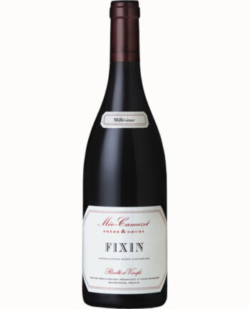 Fixin Bourgogne Domaine Mo Camuzet 2022