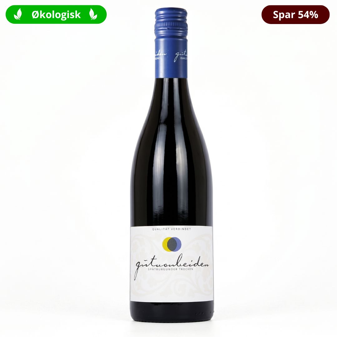 Gut Von Beiden Spatburgunder 2024 økologisk Pinot Noir Pfalz Tyskland