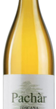 Lavacchio Pachar Blanc Igt Toscana 2024
